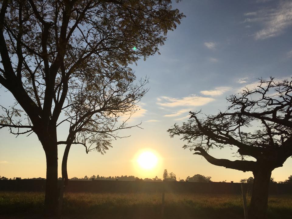 13726662_1276033385770654_9039236575224089660_n