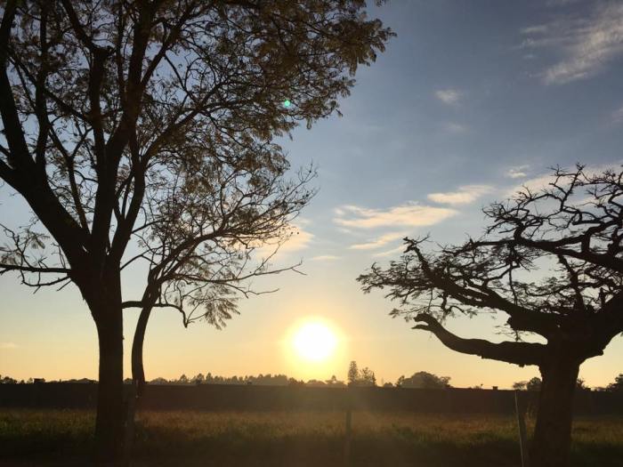 13726662_1276033385770654_9039236575224089660_n