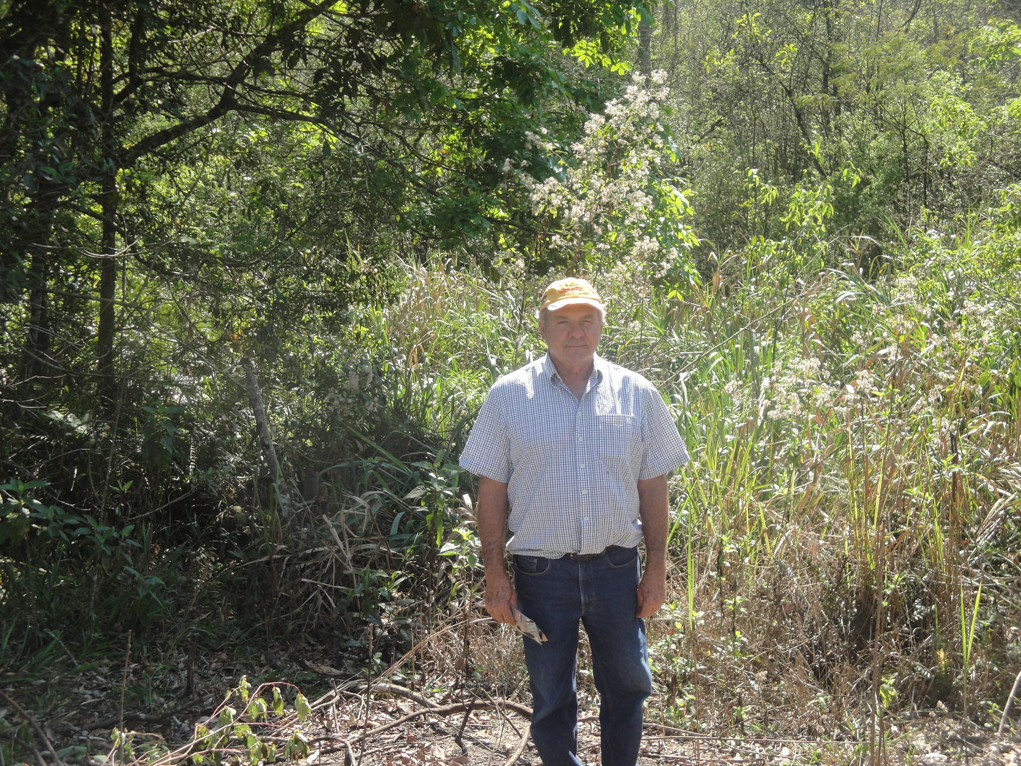 Dia da aevore - na Mina - Na Polinos - Na Unimed 029