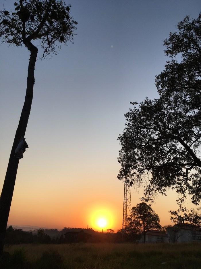 062A9E82-D144-4B11-B38E-651B1E58BA2F