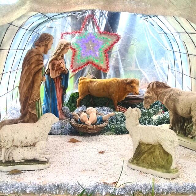 WhatsApp Image 2018-12-24 at 08.34.44