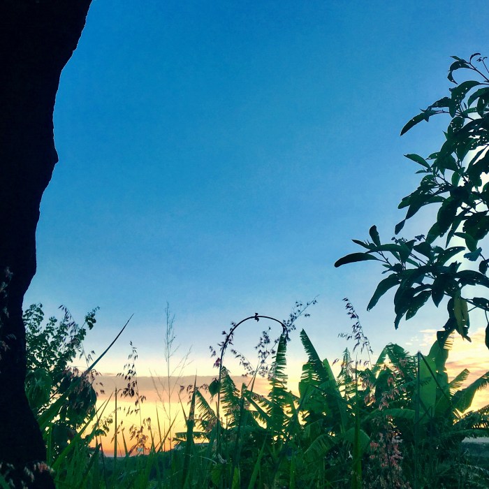 08EF9661-8C51-487B-85CA-E5797755F4A0