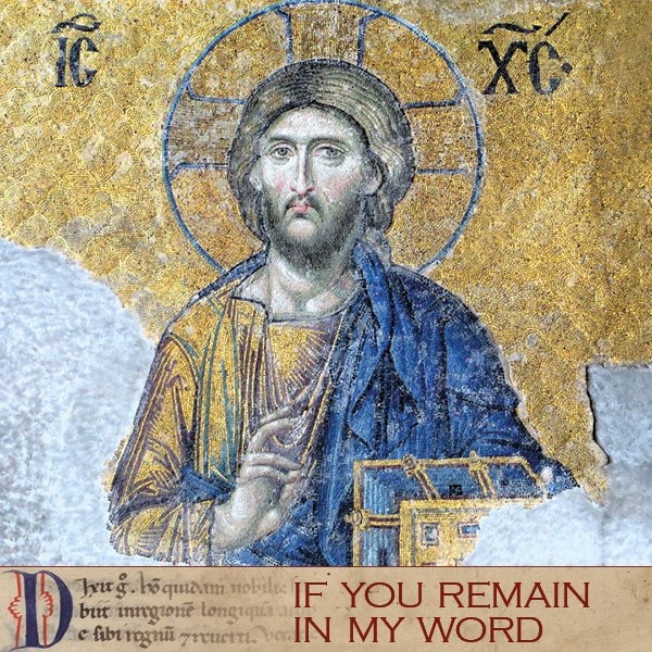 A126BAD7-BBD0-4799-84E1-2FA0E5CB5055