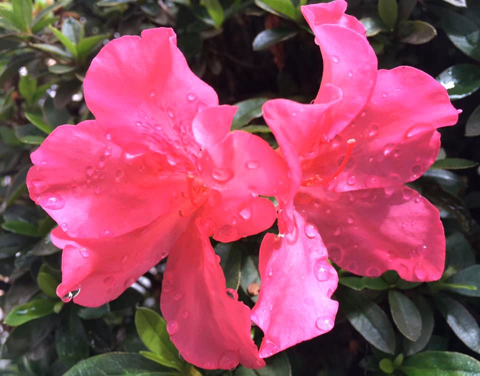 82487753_3592816057425697_2866063760026501120_n