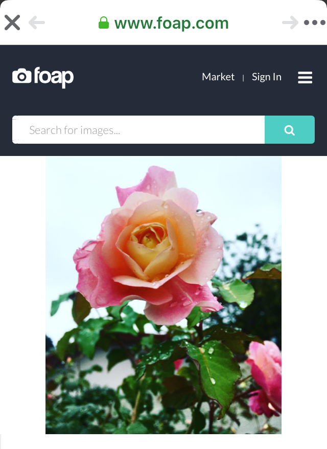 A9BC393C-9951-4D3D-B945-C078F33324A7