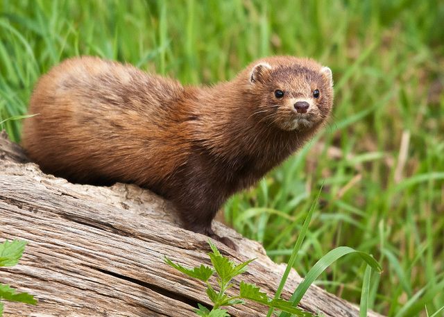 38ce7798905e2cc0cde9e773042c85b4