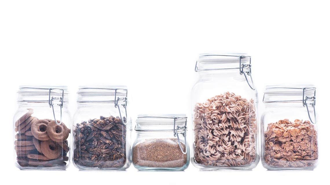 SITE_Insetos-v2-0-1140