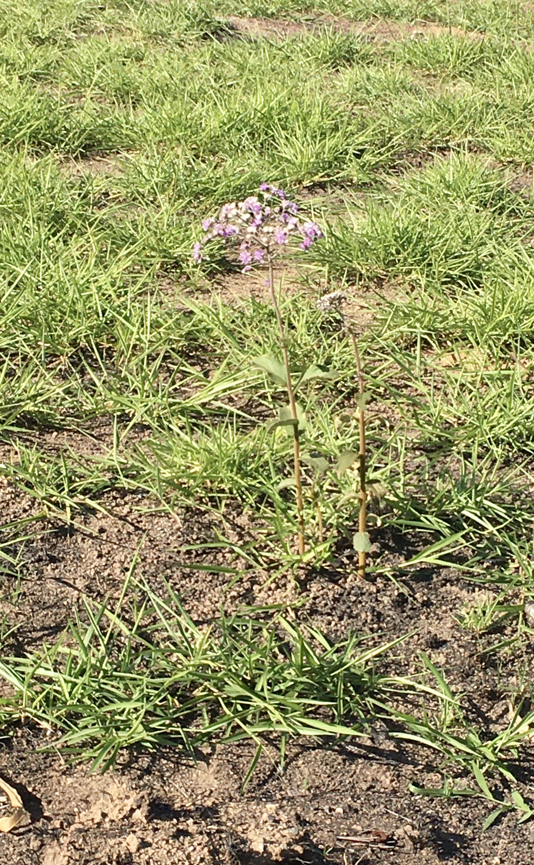 383109E9-719F-4B05-A7C9-1214BF0E0C4F