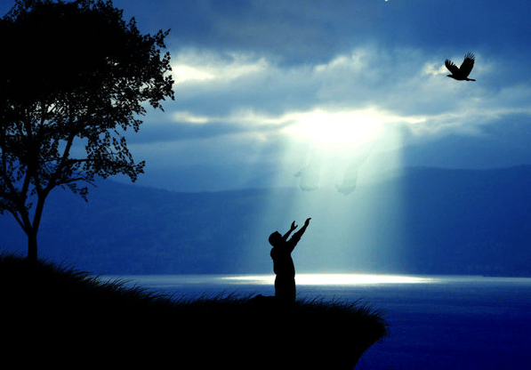 Contemplando a DEUS - Disse-lhes Jesus